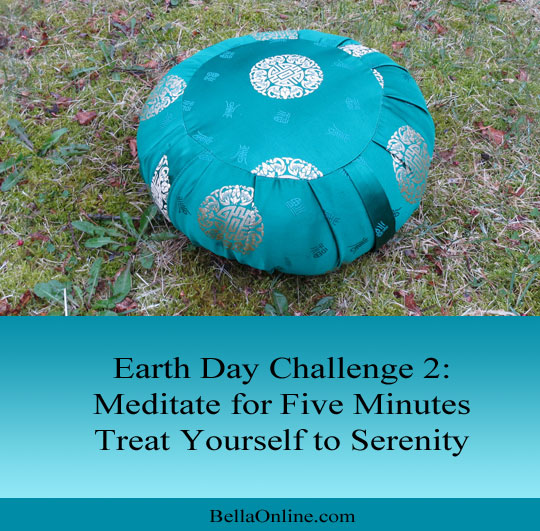 Meditate for Five Minutes - Earth Day Challenge
