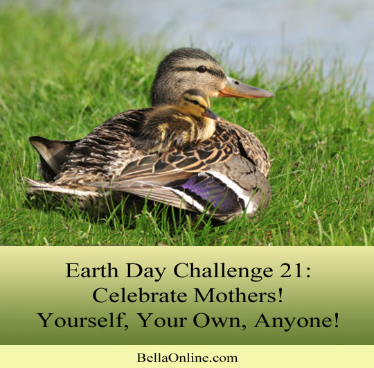 Celebrate a Mom - Earth Day Challenge