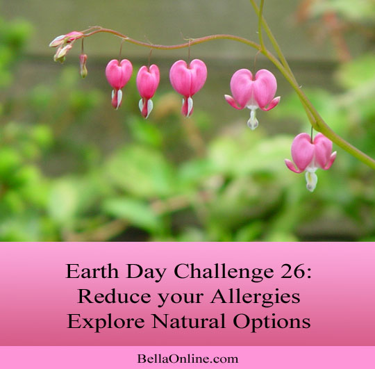 Explore Natural Allergy Remedies - Earth Day Challenge