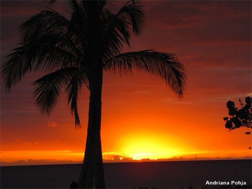 Hawaiian Sunset by Andriana Pohja