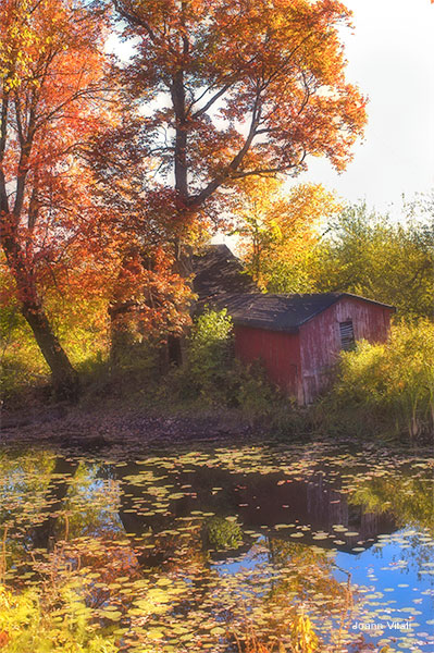 Autumn Barn by Joann Vitali