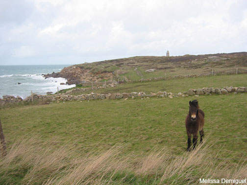 La Manche - Bretagne Sleeve of Coast by Melissa Demiguel
