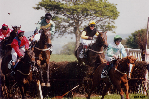 Irish Point-to-Point Race by Bob See