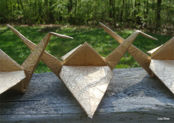Gold Momi Origami Cranes by Lisa Shea