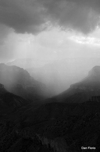 Canyon Rain by Dan Florio